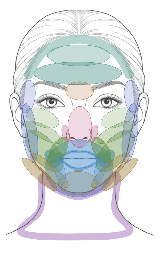 Front view of the face map, each region tinted by its group.