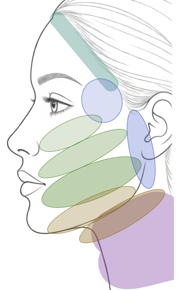 Profile view showing the jaw, cheek and neck regions.