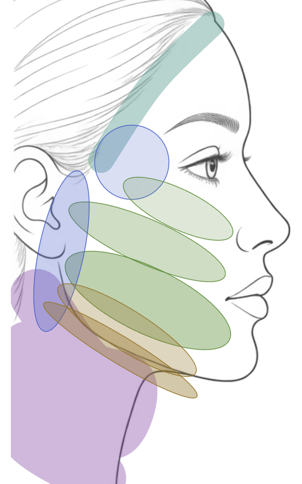 The opposite profile view of the face map.